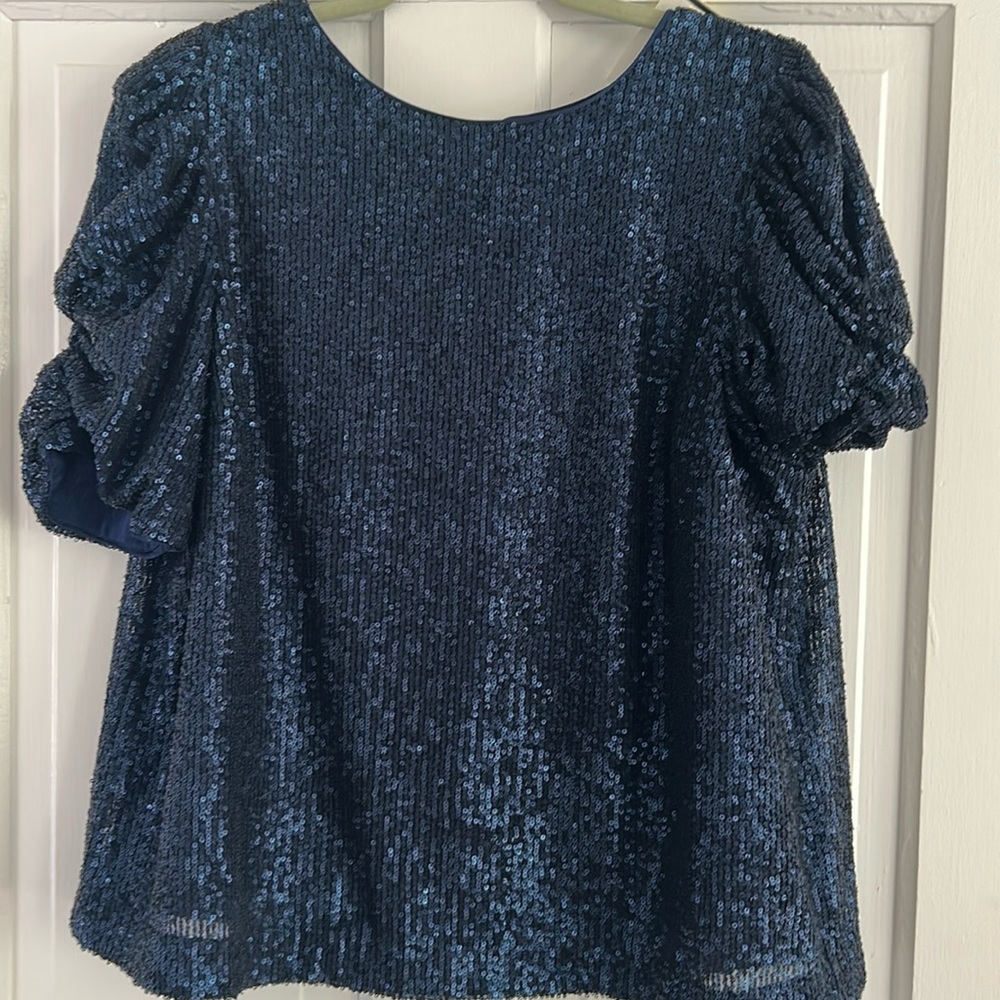 Anthropologie Blue Sequin Blouse